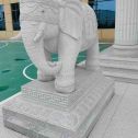 十堰 白麻花岗岩动物异形石雕-大象
